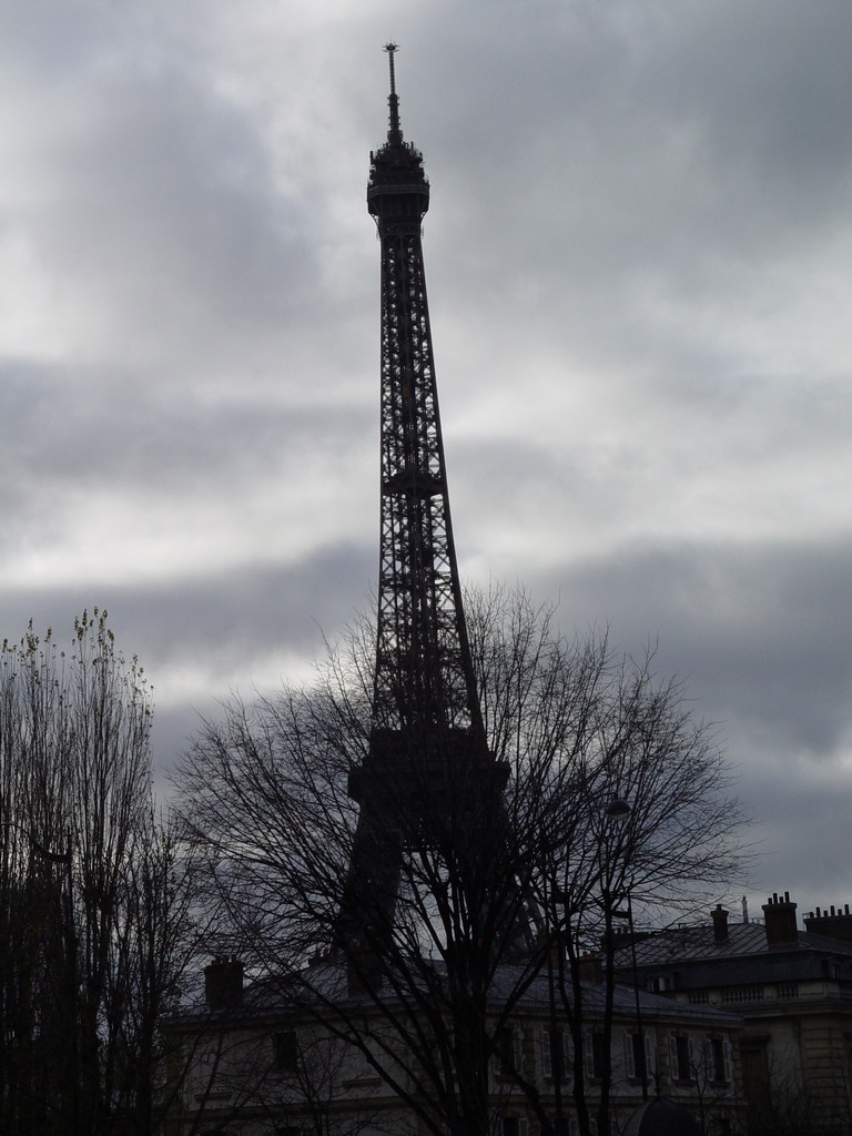 dsc03359.jpg