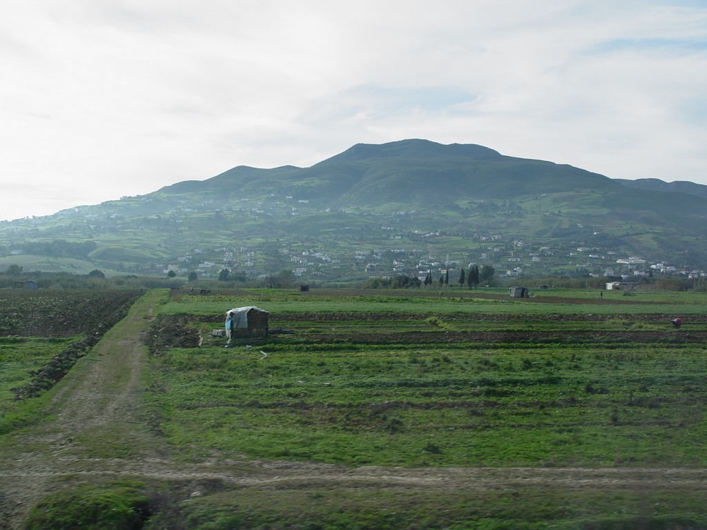 dsc03440.jpg