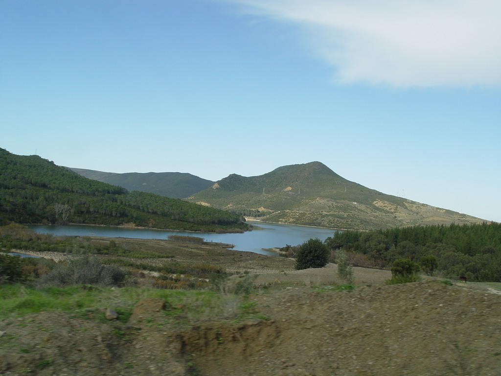 dsc03444.jpg