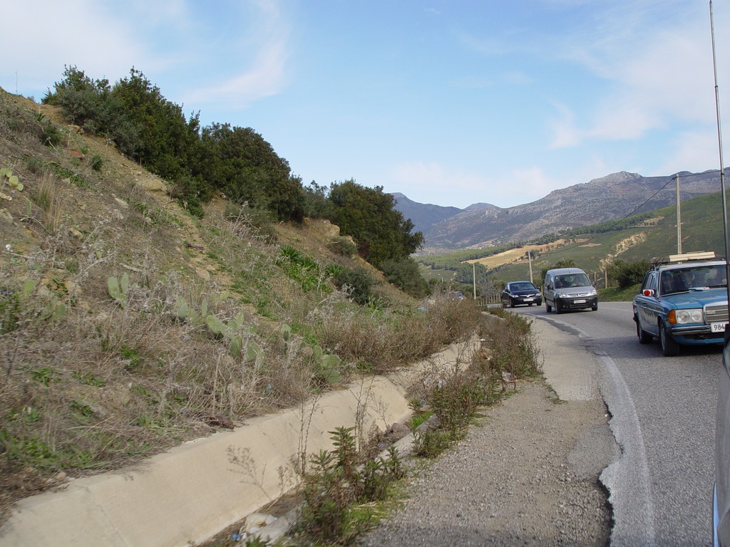 dsc03445.jpg