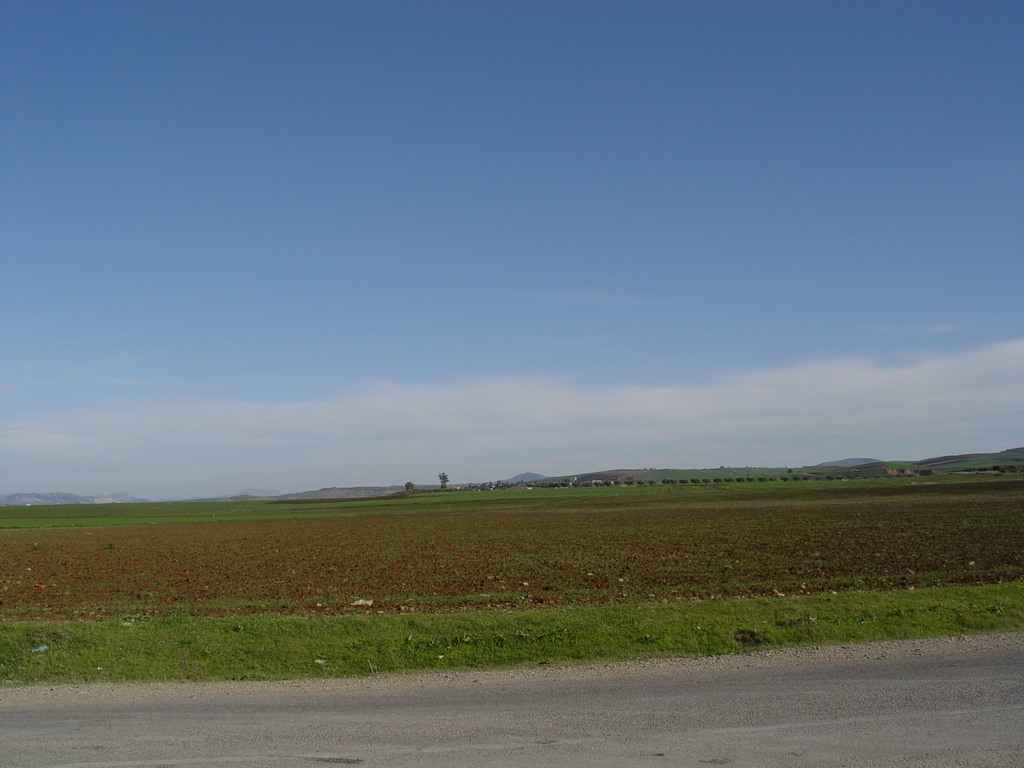 dsc03456.jpg