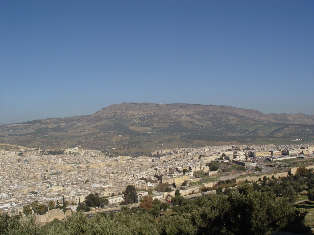 dsc03477.jpg