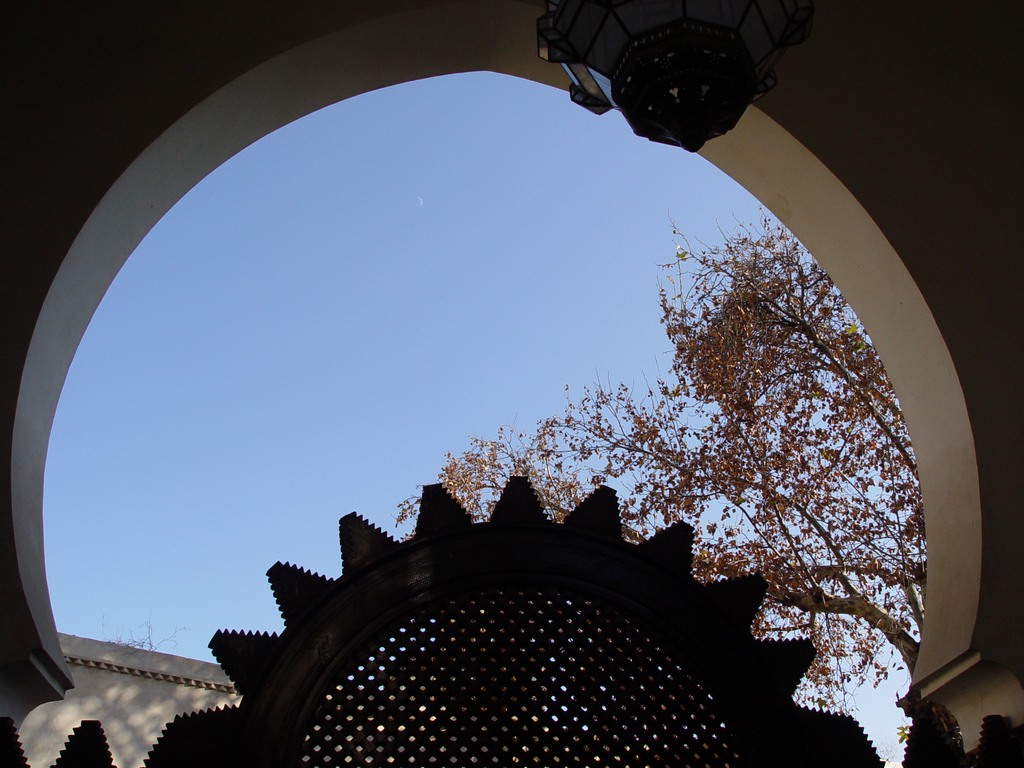 dsc03565.jpg