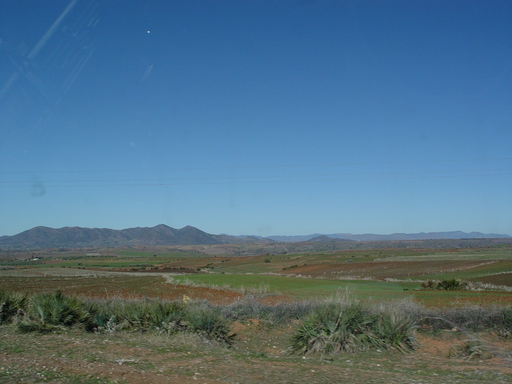 dsc03601.jpg