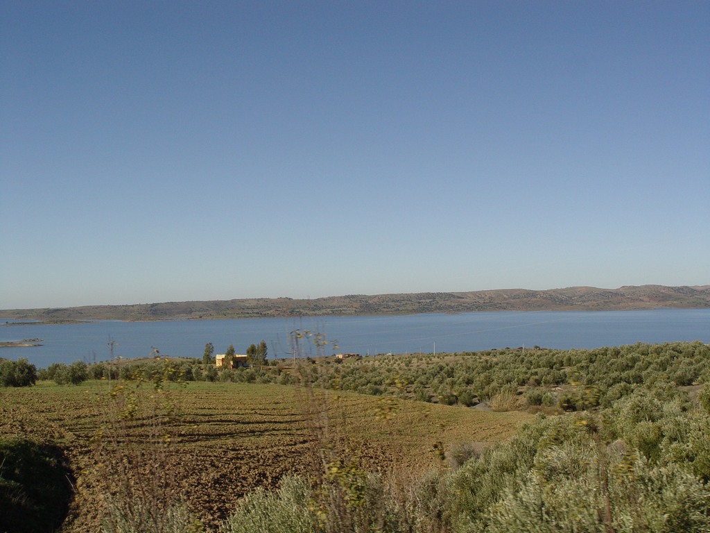 dsc03604.jpg