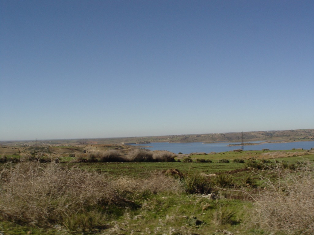 dsc03606.jpg