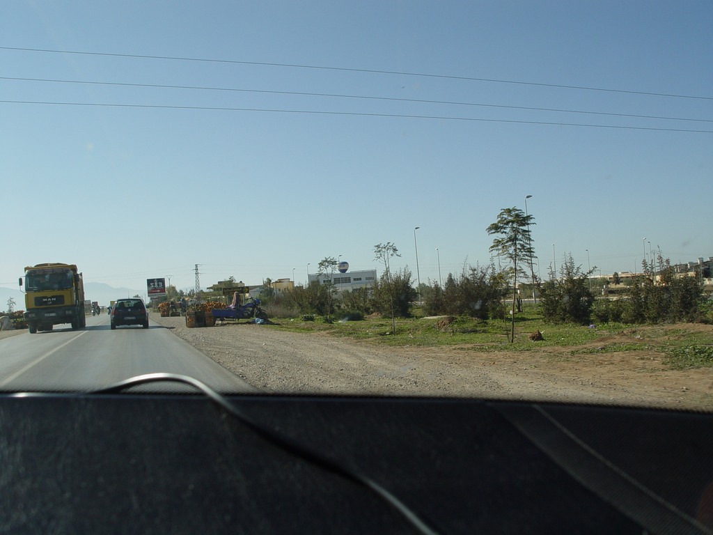 dsc03617.jpg