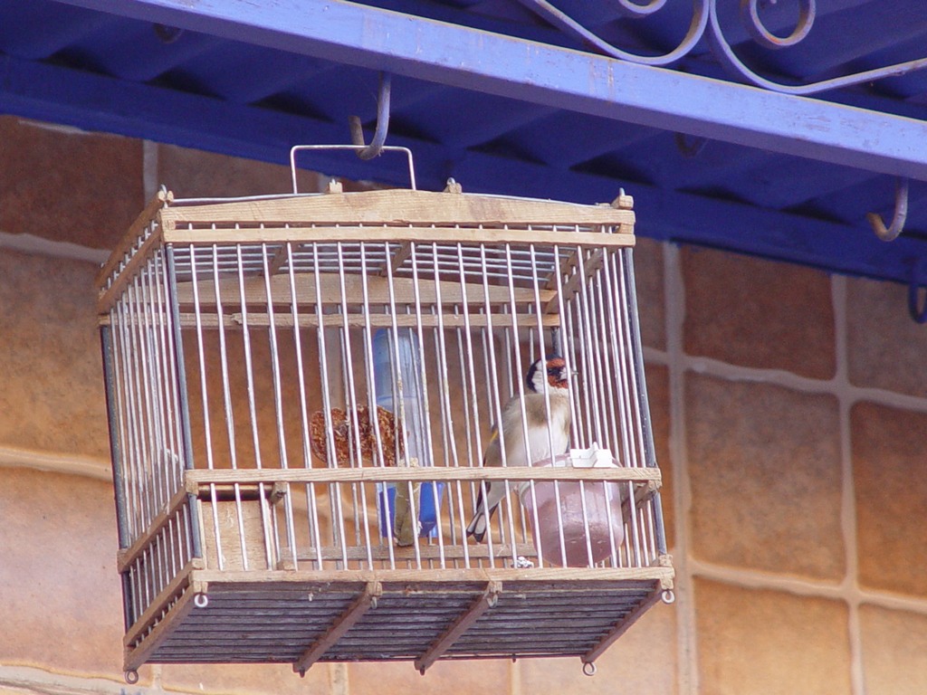 dsc03662.jpg