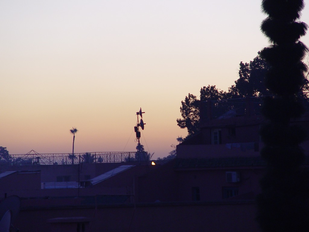 dsc03677.jpg