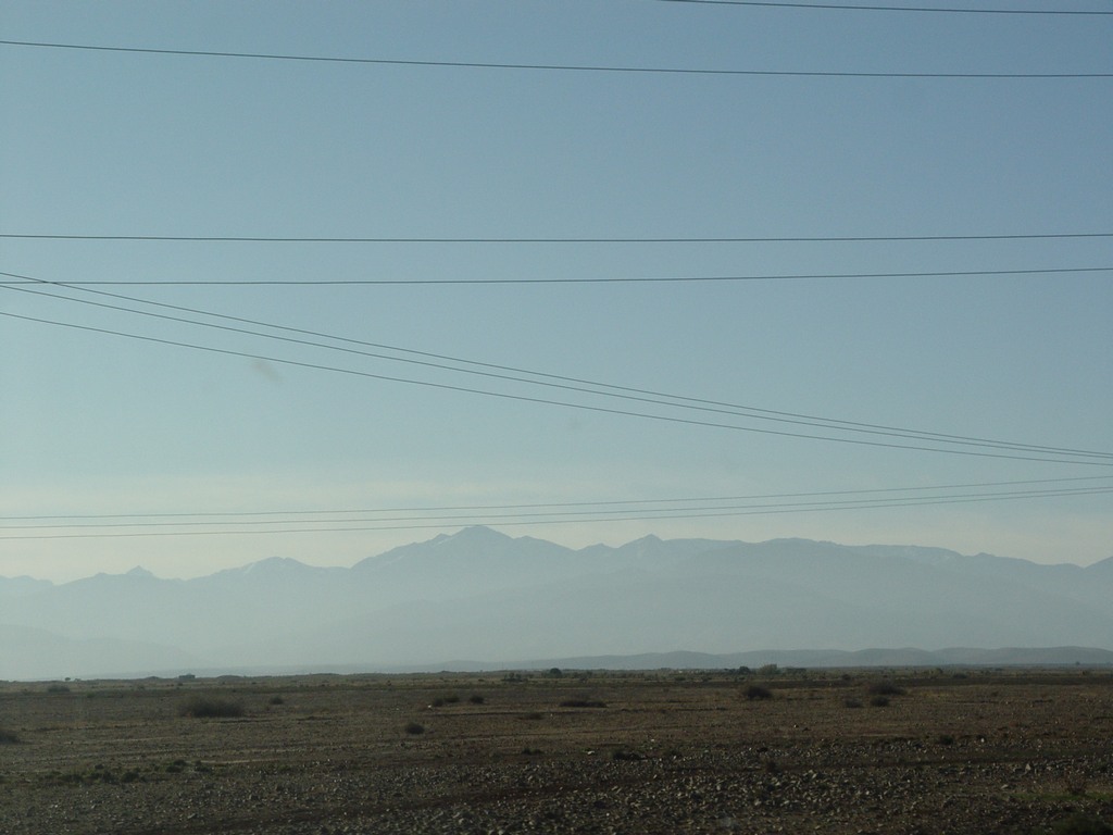 dsc03702.jpg