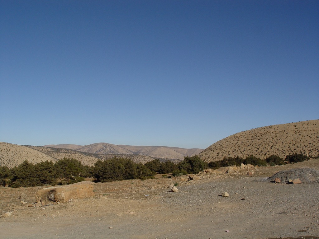 dsc03714.jpg