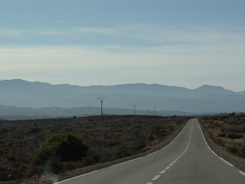 dsc03729.jpg