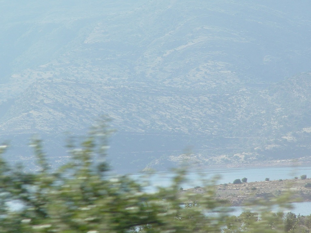 dsc03737.jpg