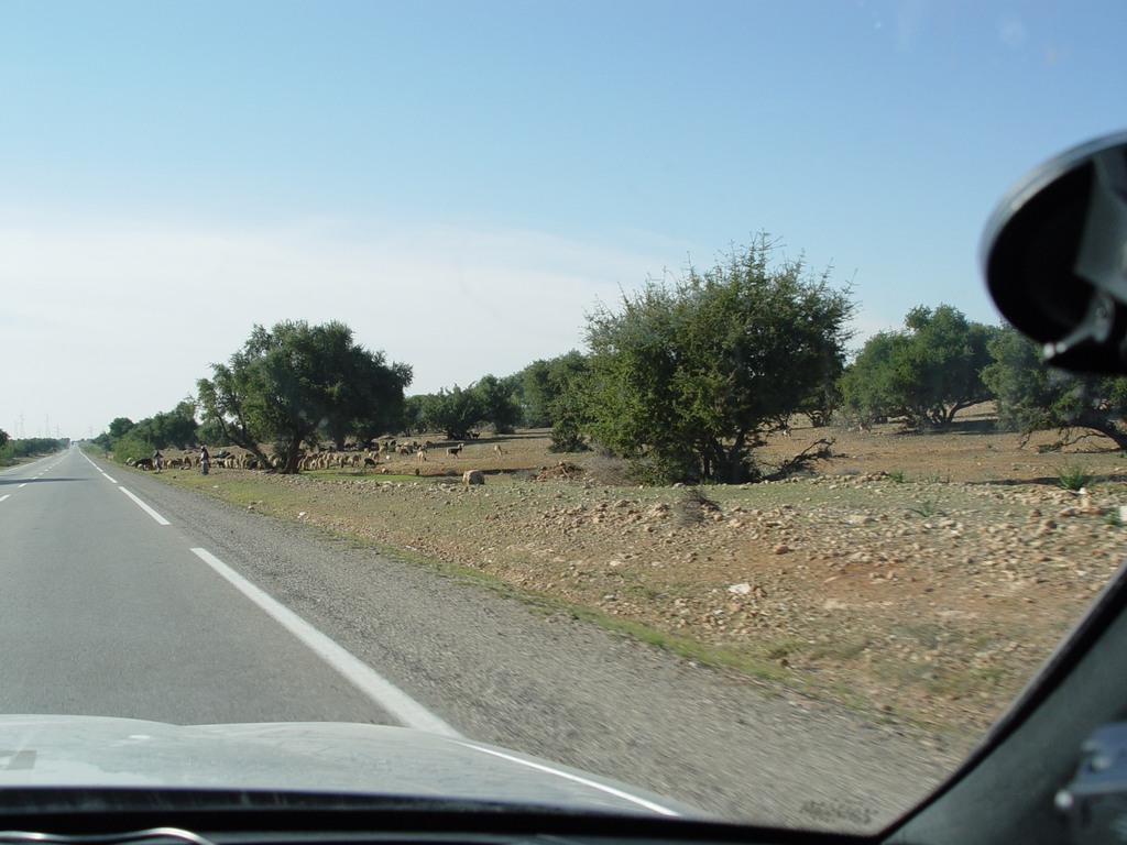 dsc03746.jpg