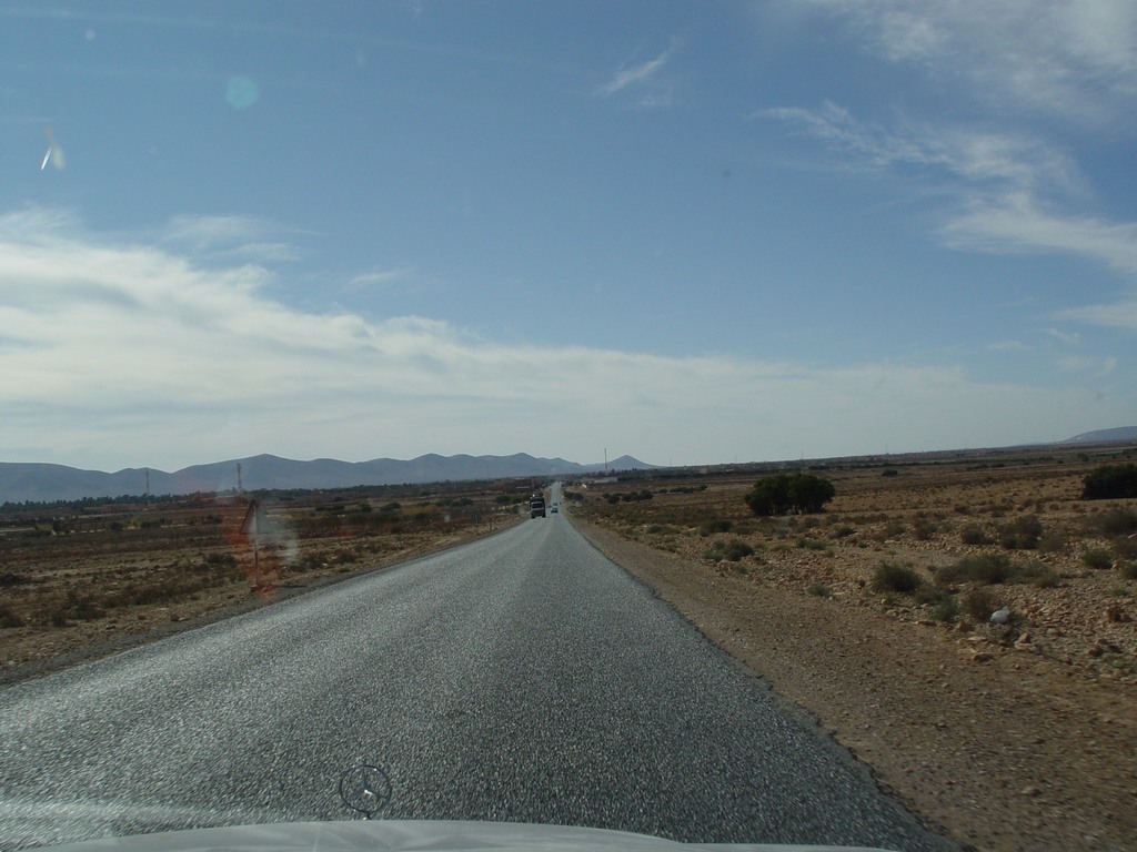 dsc03813.jpg