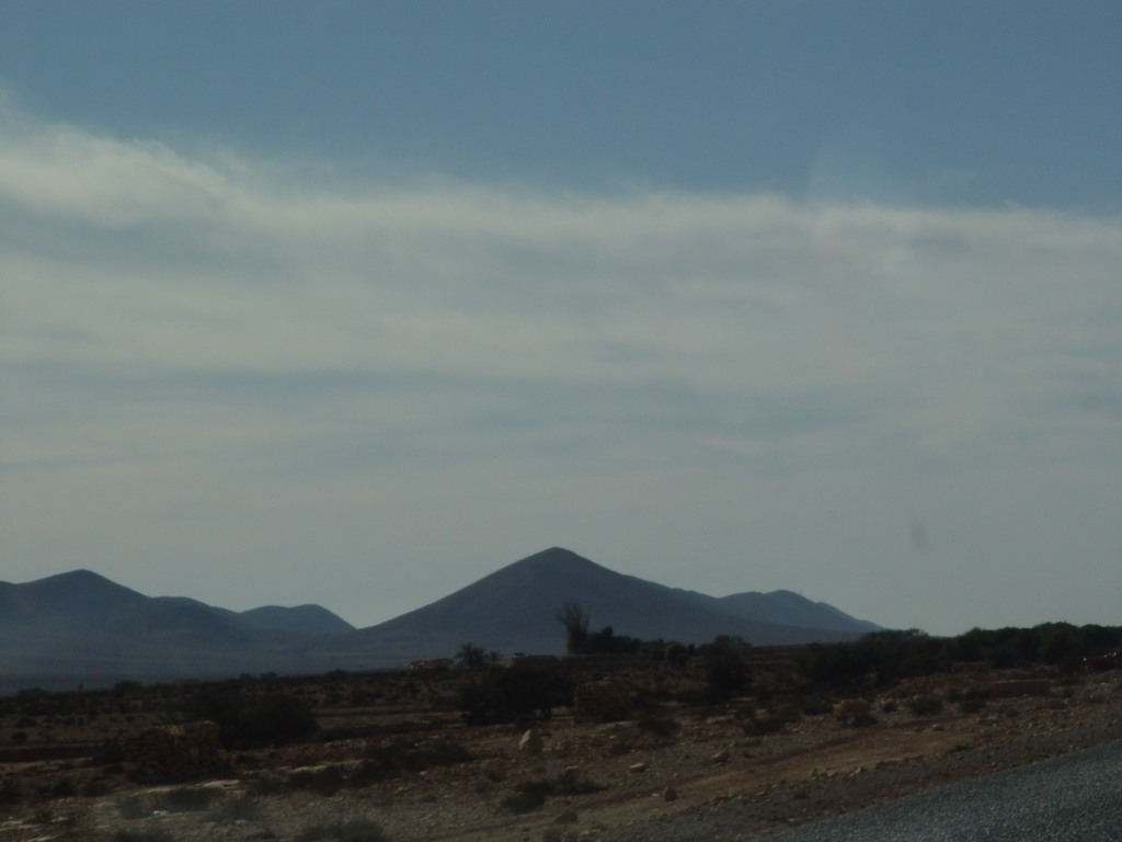 dsc03816.jpg