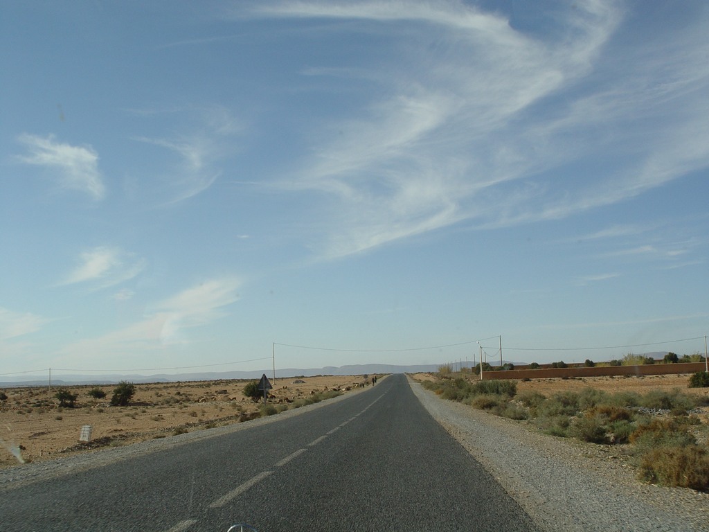 dsc03823.jpg