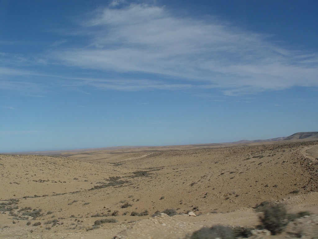 dsc03890.jpg