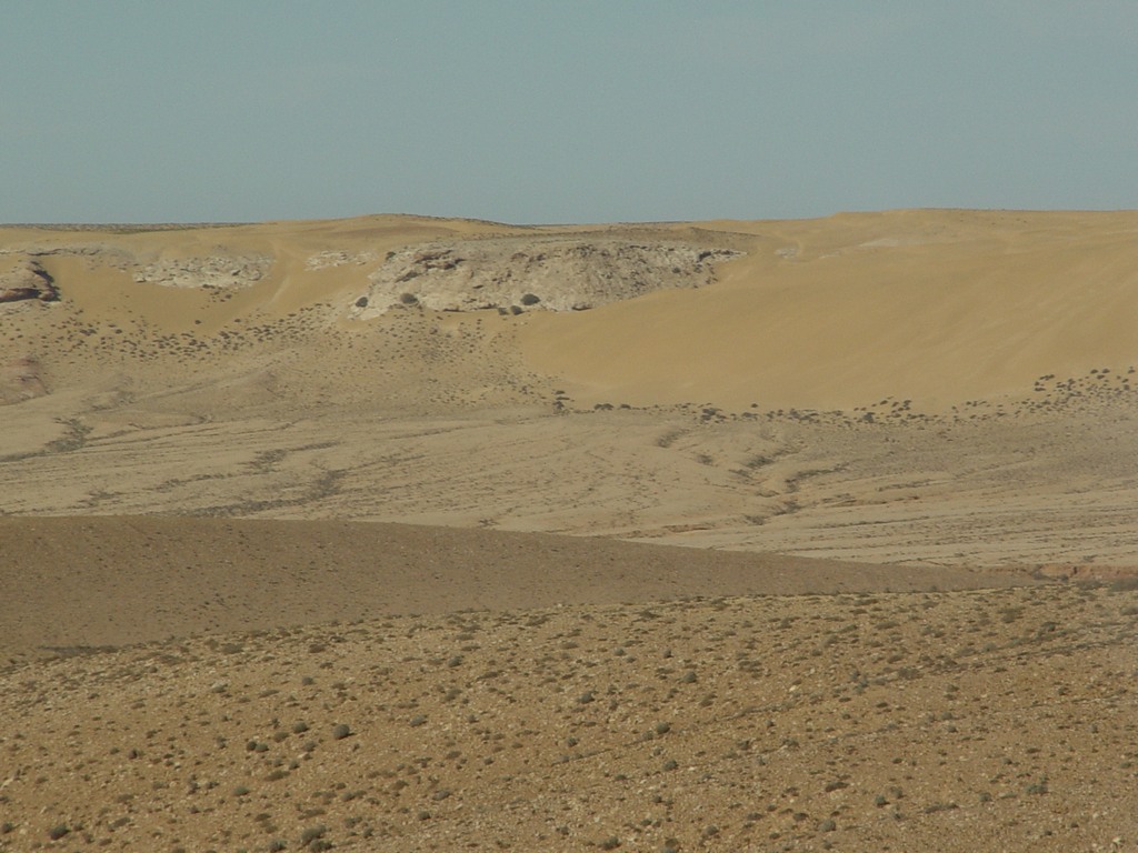 dsc03896.jpg