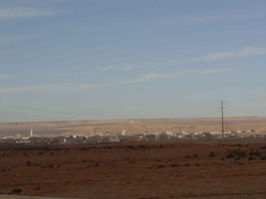 dsc03903.jpg