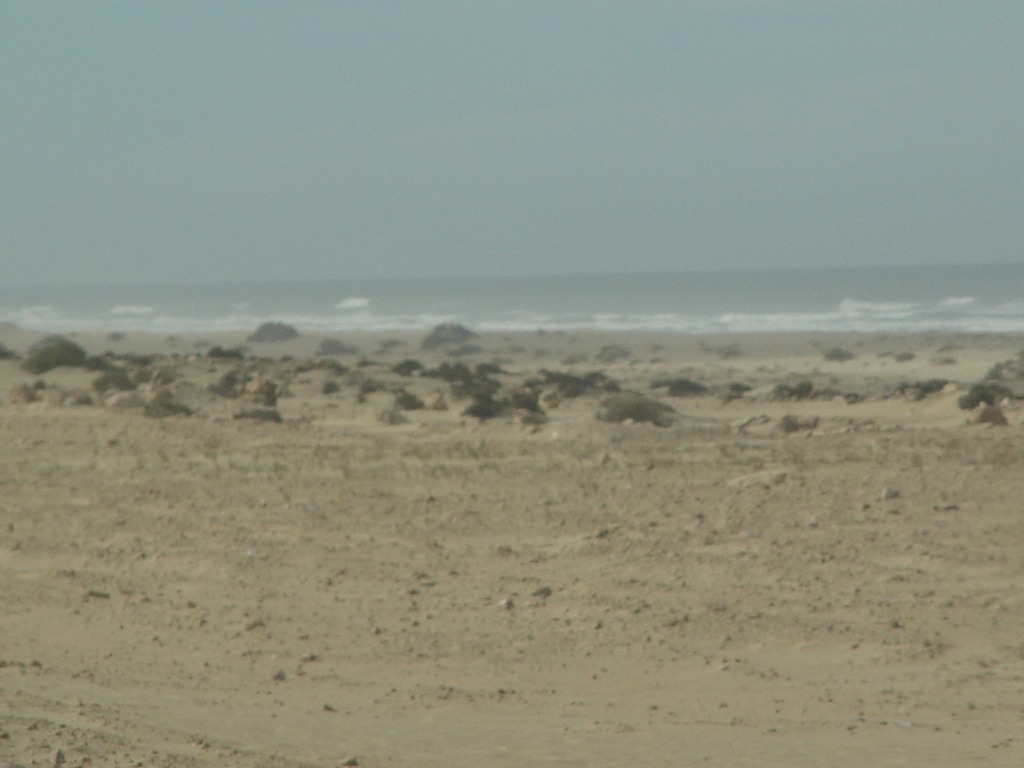 dsc03950.jpg