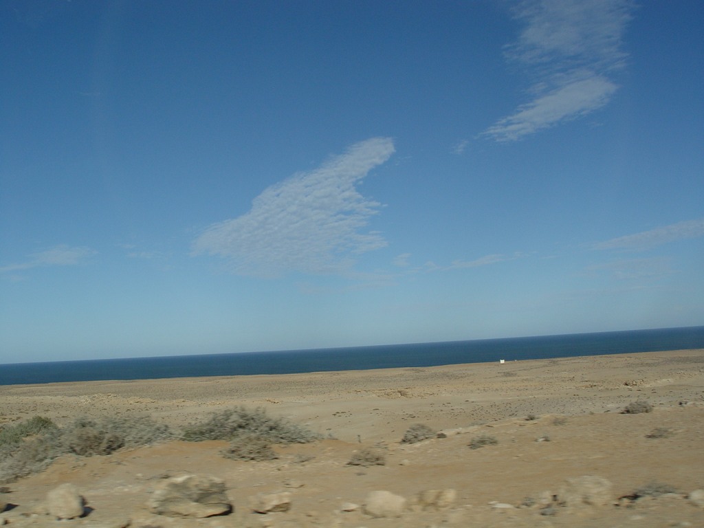 dsc04049.jpg