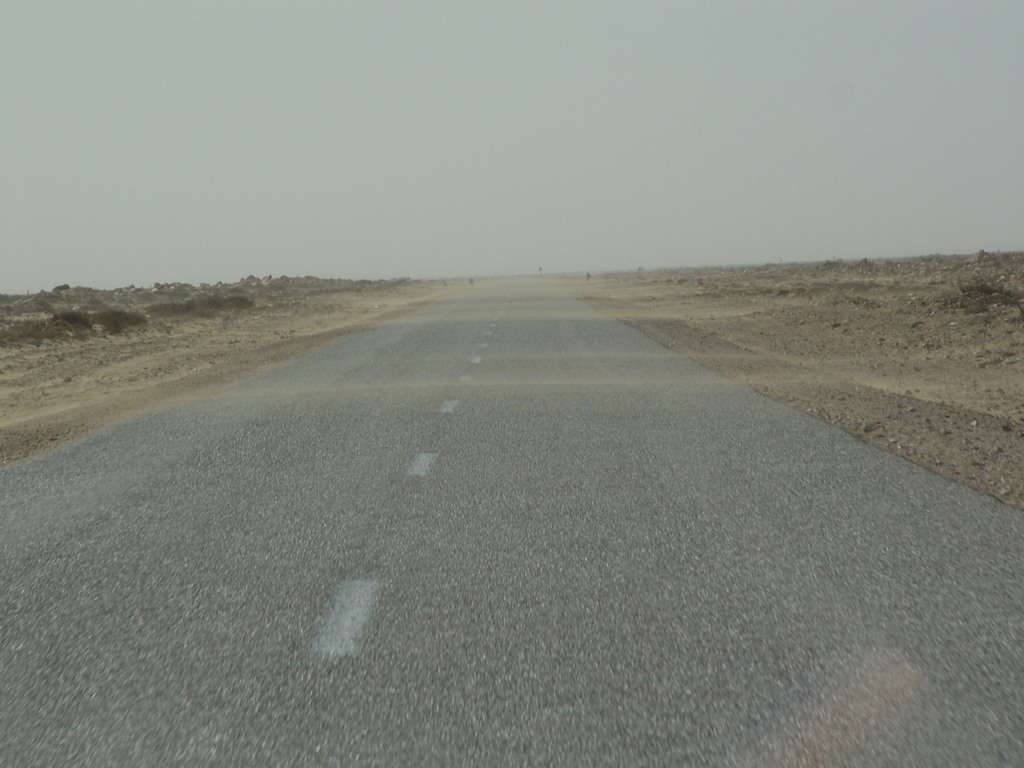 dsc04078.jpg