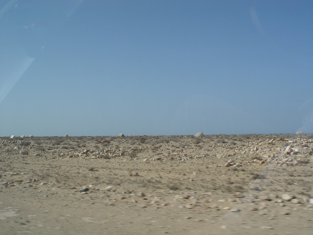 dsc04079.jpg