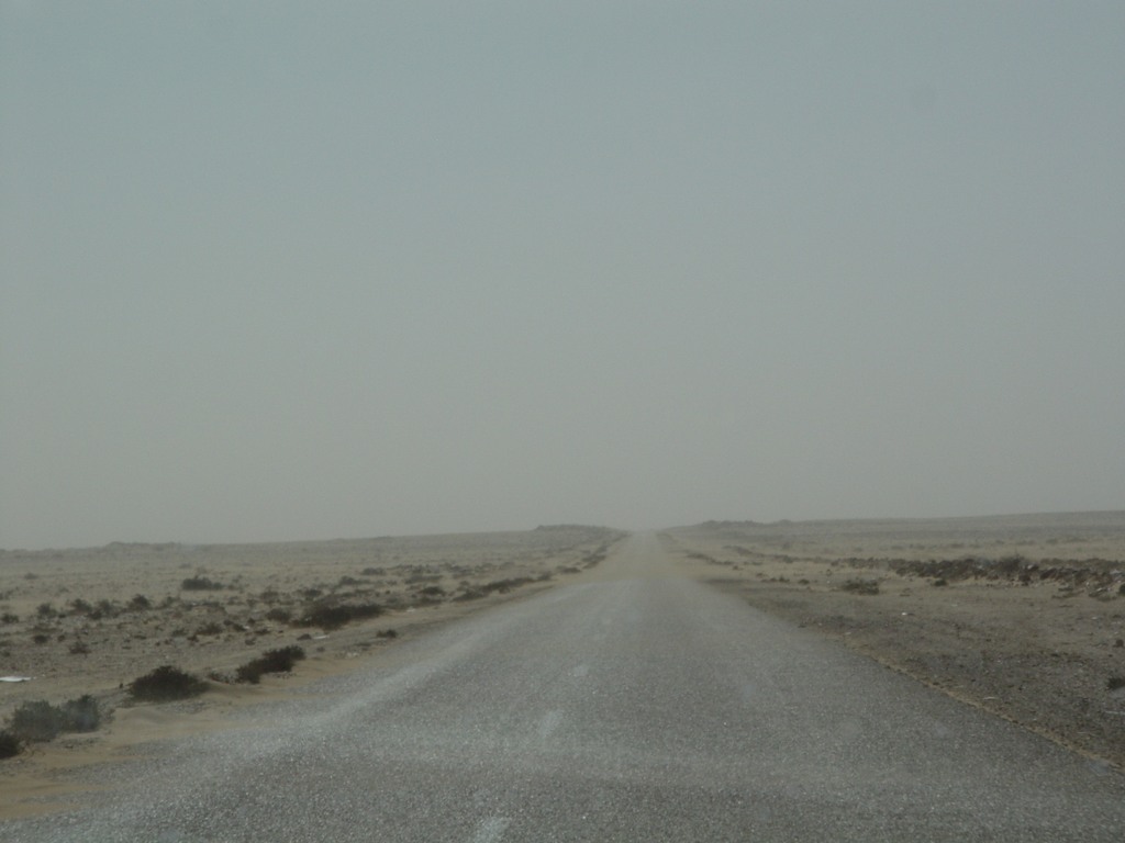 dsc04093.jpg