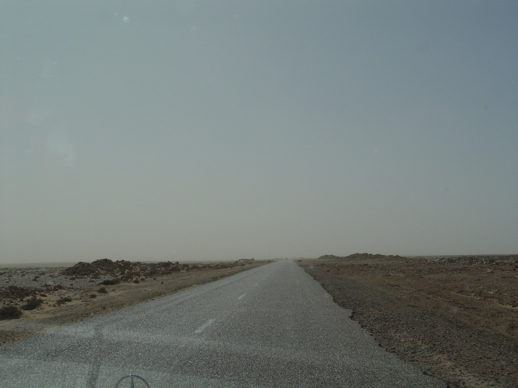 dsc04096.jpg