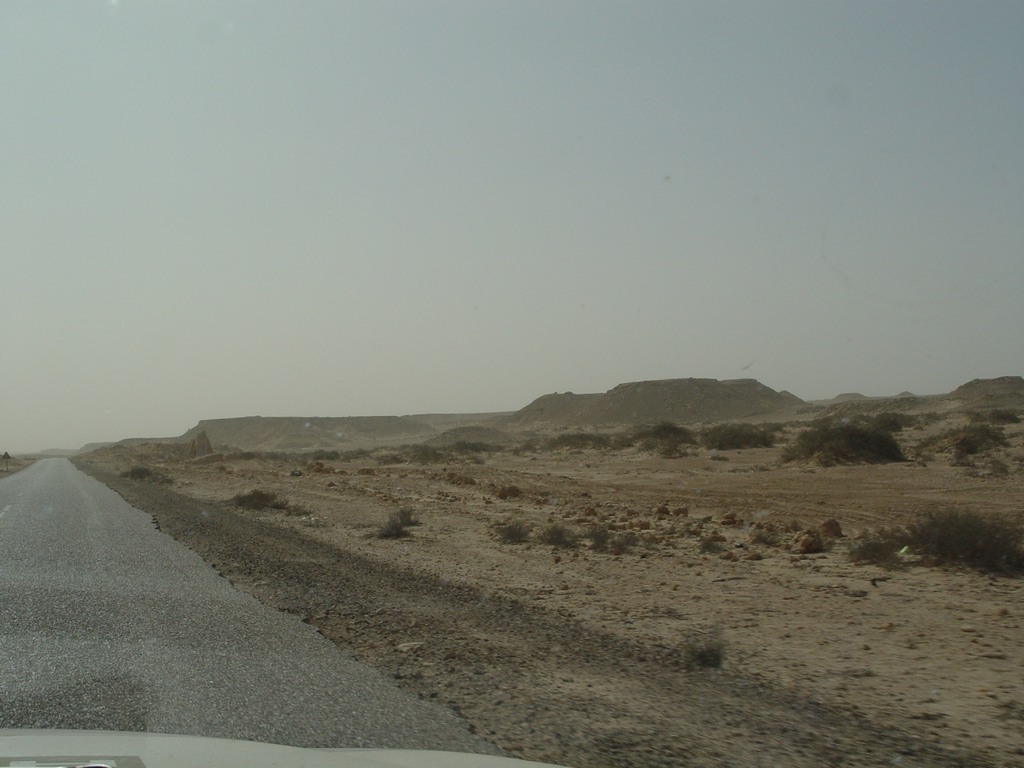 dsc04100.jpg