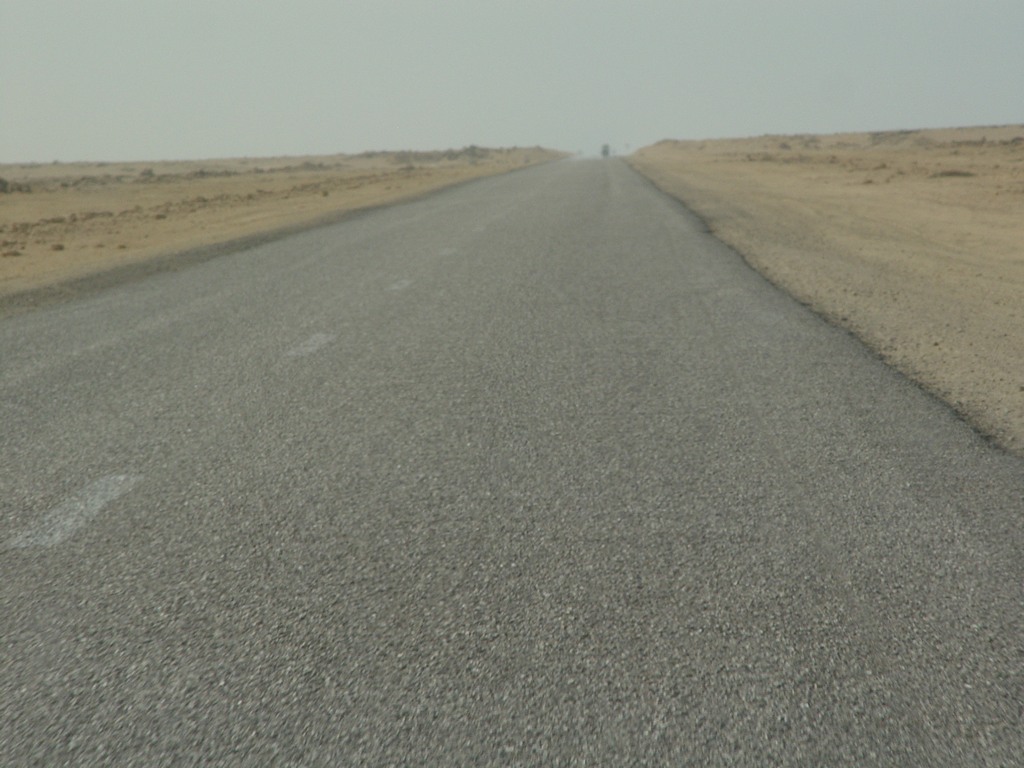 dsc04111.jpg