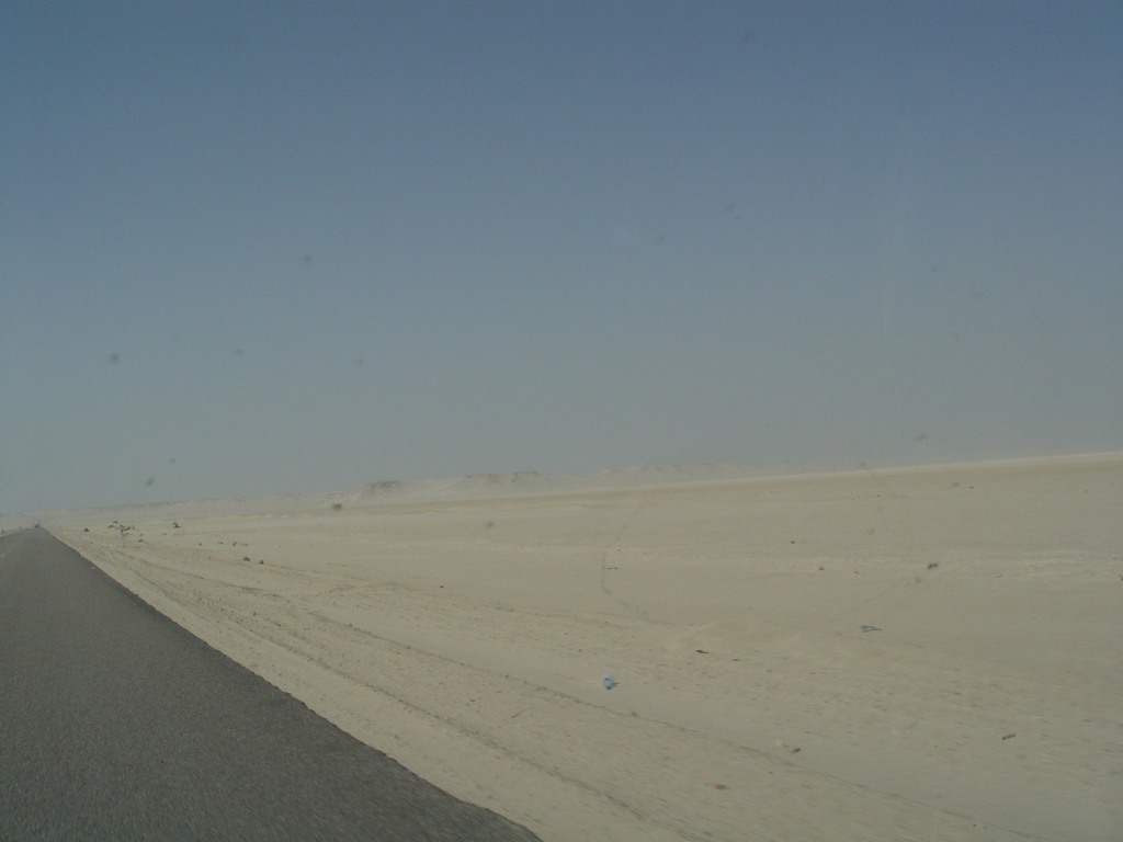 dsc04124.jpg