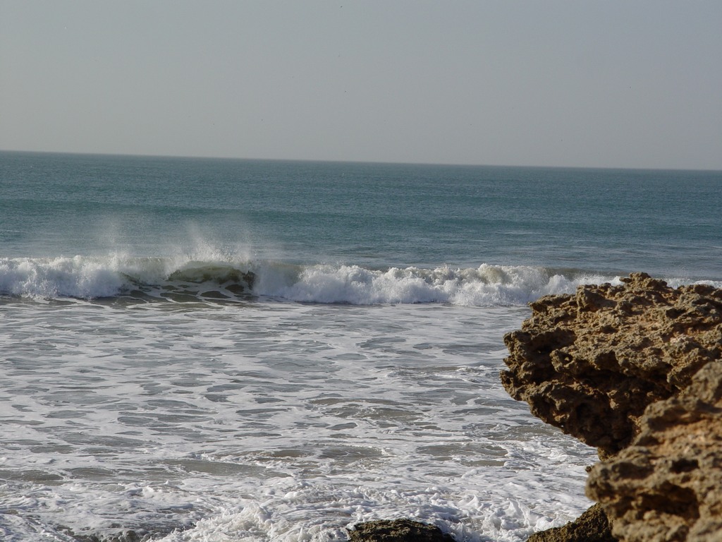 dsc04138.jpg