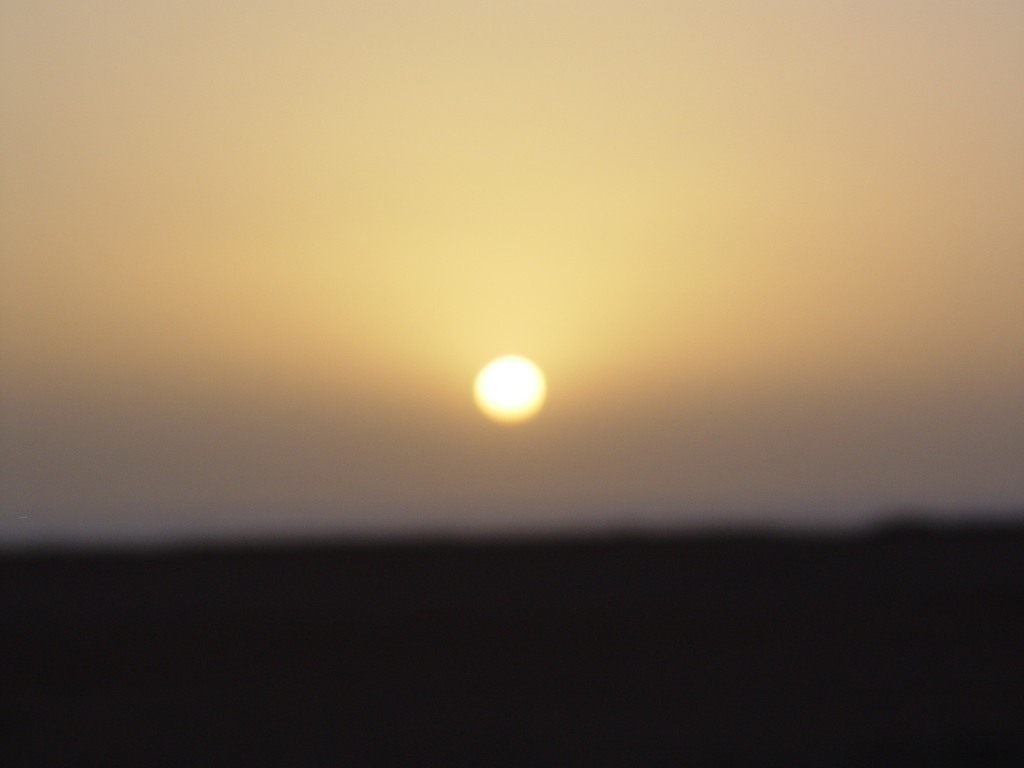 dsc04149.jpg