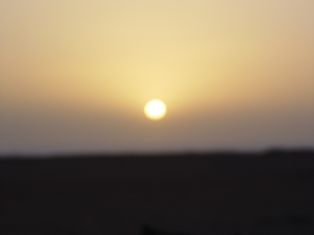 dsc04150.jpg