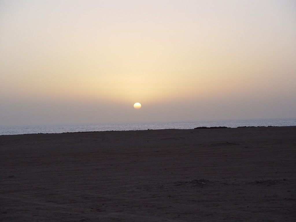 dsc04152.jpg