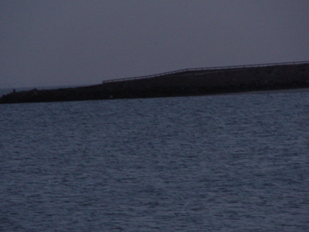dsc04170.jpg