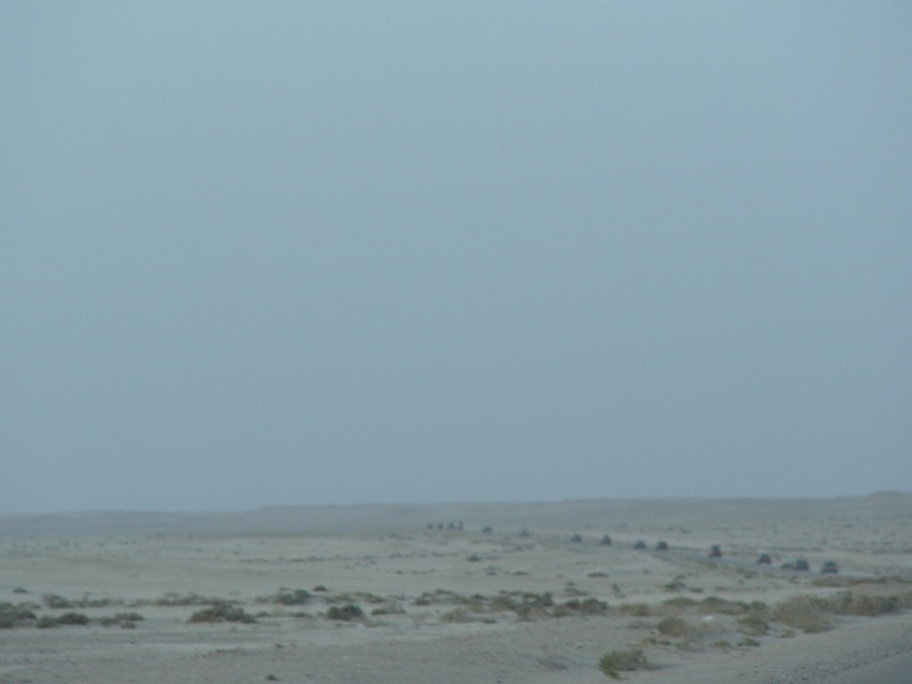 dsc04193.jpg