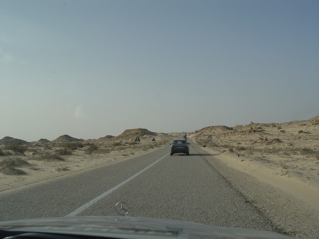 dsc04225.jpg