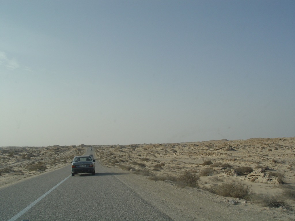 dsc04226.jpg