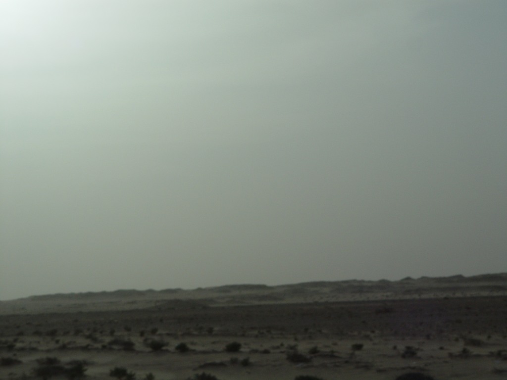 dsc04246.jpg