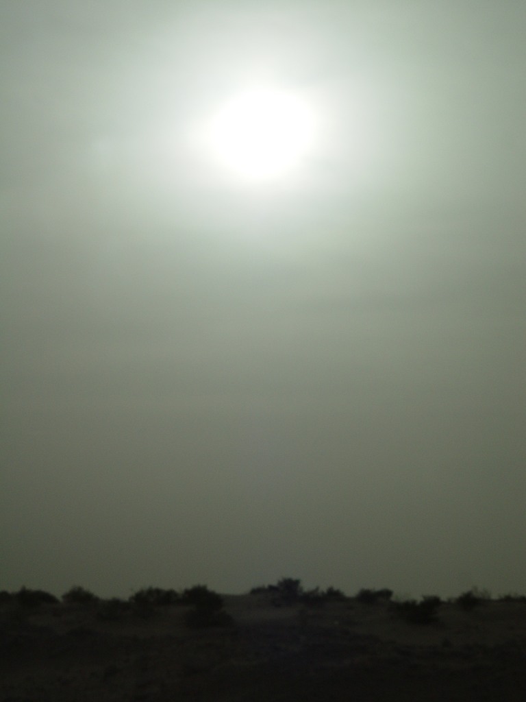 dsc04247.jpg