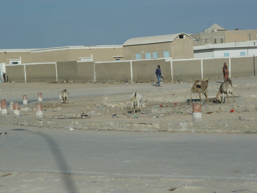 dsc04279.jpg