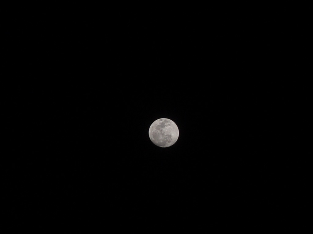 dsc04367.jpg