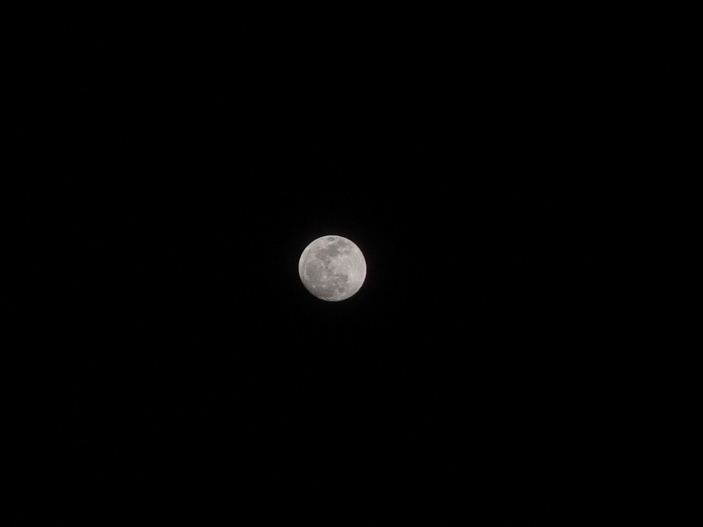 dsc04368.jpg