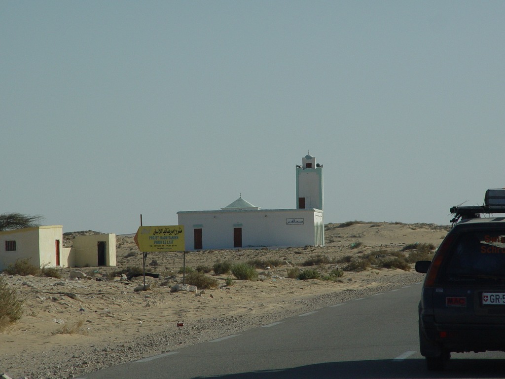 dsc04387.jpg