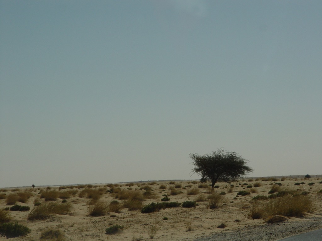 dsc04409.jpg