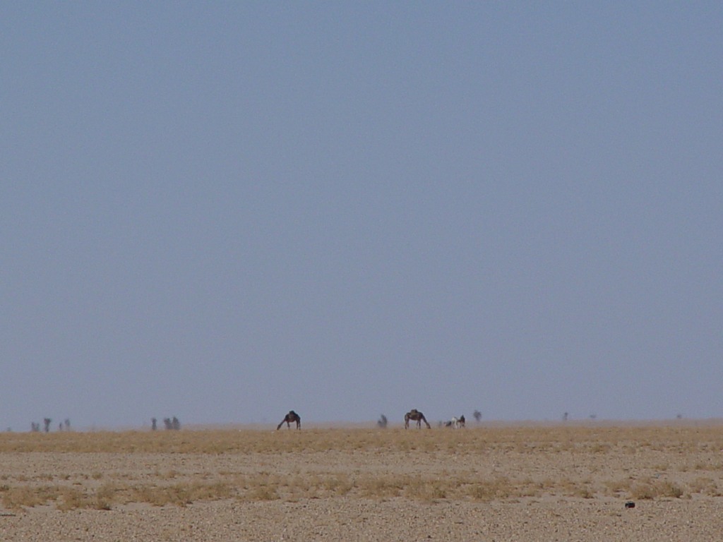 dsc04422.jpg