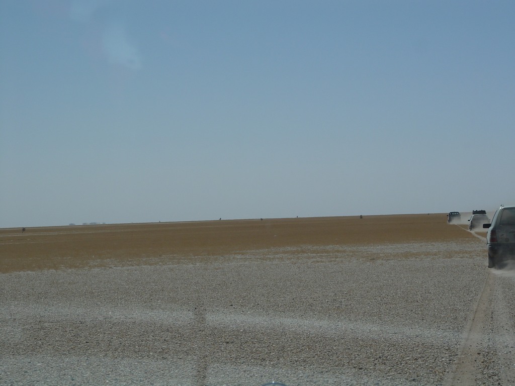 dsc04430.jpg
